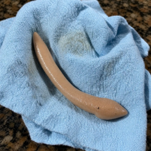 This evening, I went into my girlfriend’s bathroom and found this on the floor.