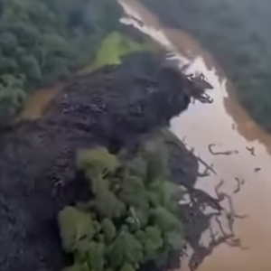 OMG Unbelievable footage from the Amazon…