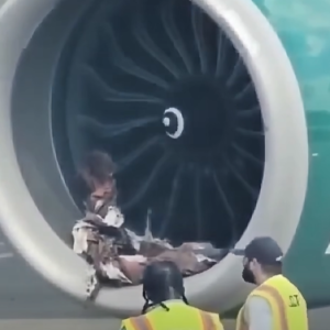 Charlotte Airport Experiences Delays Following Frontier Airlines Plane Incident