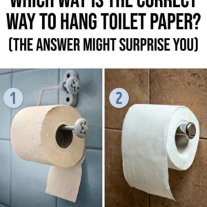 Which Way Is the Correct Way to Hang Toilet Paper? (The Answer Might Surprise You)