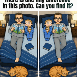 Dad, Baby, and Sleeping Cat: Find 1 Difference.