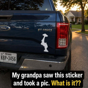 Why Are More Drivers Displaying State Symbols on Their Vehicles? Here’s What It May Mean